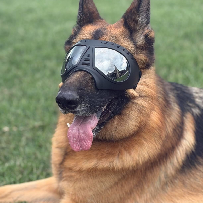 Pet Glasses for Medium Large-s – Sunglass Retainer Cord recenzja i cena